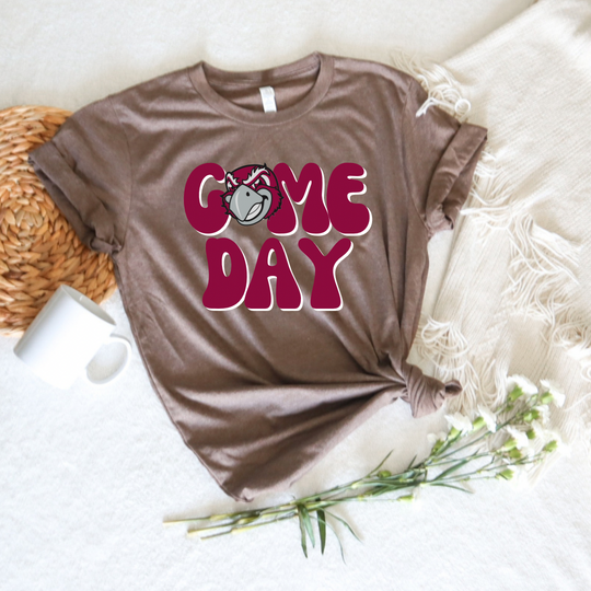 Roanoke College Game Day Tee